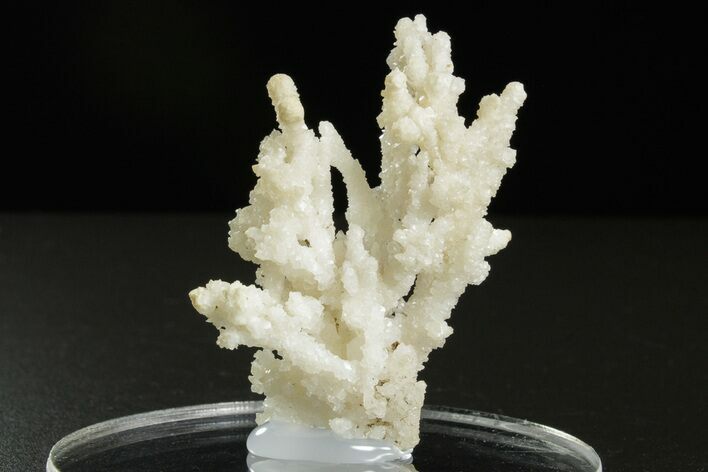 Intricate, Fluorescent Aragonite Formation - Nevada #350269